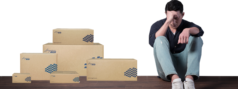 相信我們對於緩衝包材的執著